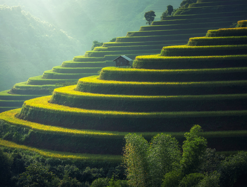 SOURCED FROM THE BEST PLACES ON EARTH