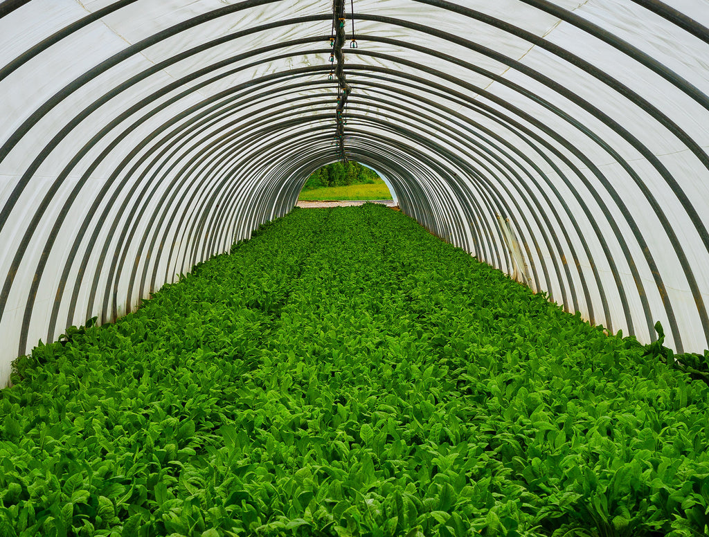 Over 45 Million Cups. To 117 Countries.